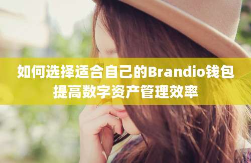 如何选择适合自己的Brandio钱包提高数字资产管理效率