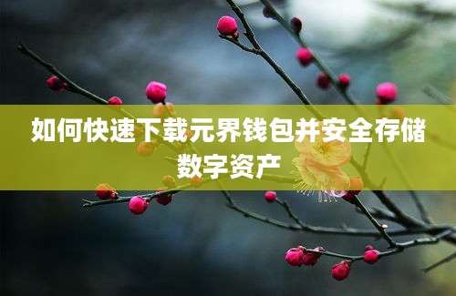 如何快速下载元界钱包并安全存储数字资产