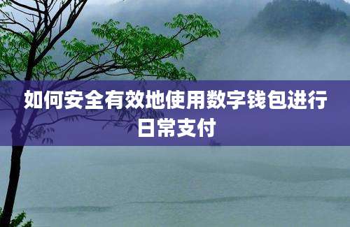 如何安全有效地使用数字钱包进行日常支付