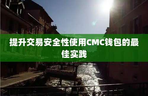 提升交易安全性使用CMC钱包的最佳实践