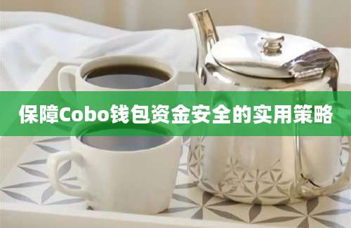 保障Cobo钱包资金安全的实用策略