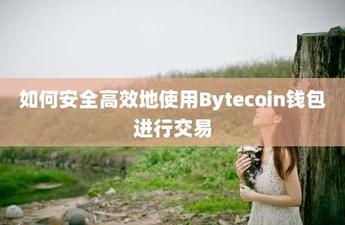 如何安全高效地使用Bytecoin钱包进行交易