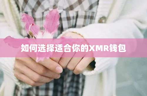 如何选择适合你的XMR钱包