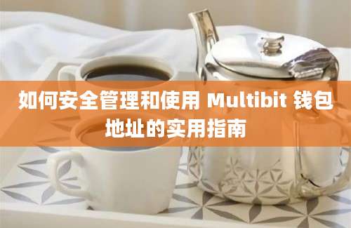 如何安全管理和使用 Multibit 钱包地址的实用指南