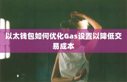 以太钱包如何优化Gas设置以降低交易成本