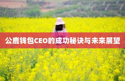 公鹿钱包CEO的成功秘诀与未来展望