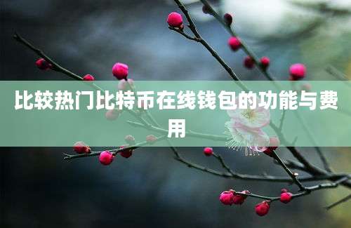 比较热门比特币在线钱包的功能与费用