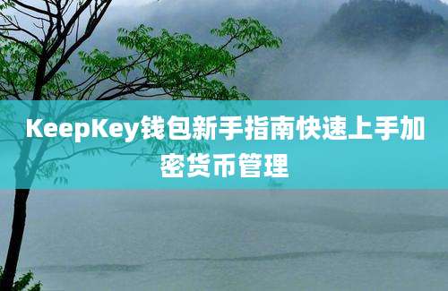 KeepKey钱包新手指南快速上手加密货币管理