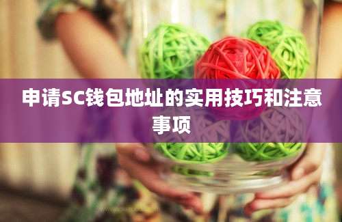 申请SC钱包地址的实用技巧和注意事项