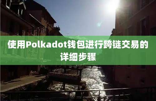 使用Polkadot钱包进行跨链交易的详细步骤