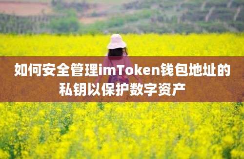 如何安全管理imToken钱包地址的私钥以保护数字资产