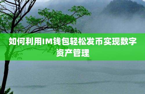 如何利用IM钱包轻松发币实现数字资产管理