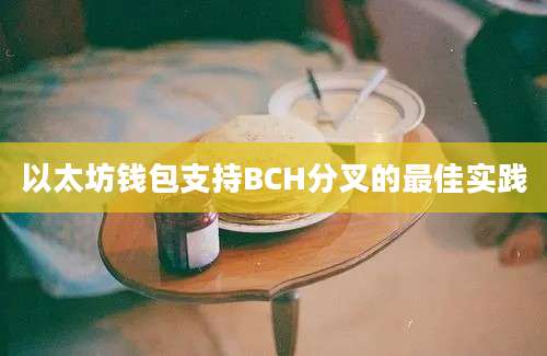 以太坊钱包支持BCH分叉的最佳实践