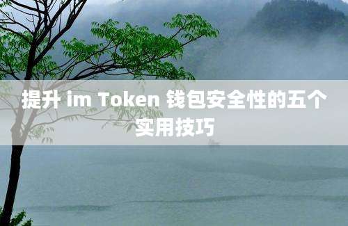 提升 im Token 钱包安全性的五个实用技巧