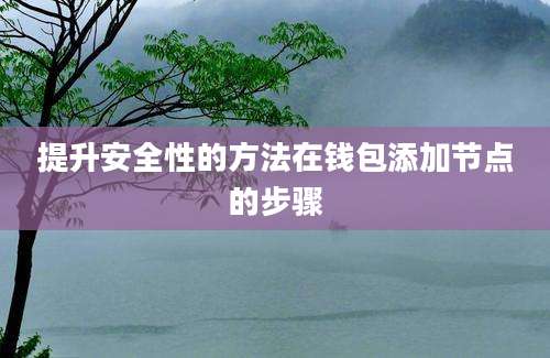 提升安全性的方法在钱包添加节点的步骤