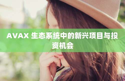 AVAX 生态系统中的新兴项目与投资机会