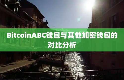 BitcoinABC钱包与其他加密钱包的对比分析