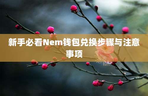 新手必看Nem钱包兑换步骤与注意事项