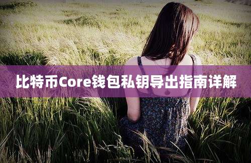 比特币Core钱包私钥导出指南详解