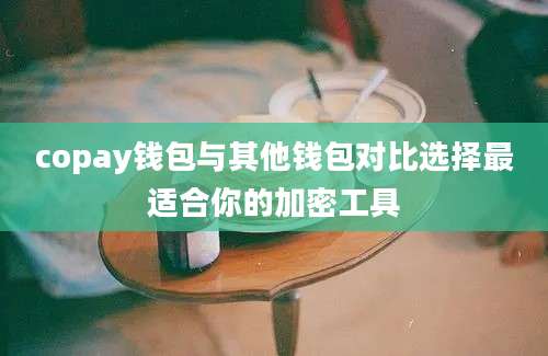 copay钱包与其他钱包对比选择最适合你的加密工具