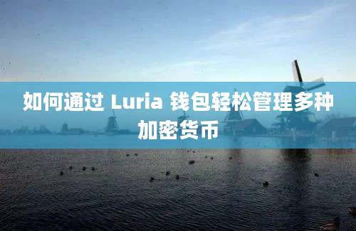 如何通过 Luria 钱包轻松管理多种加密货币