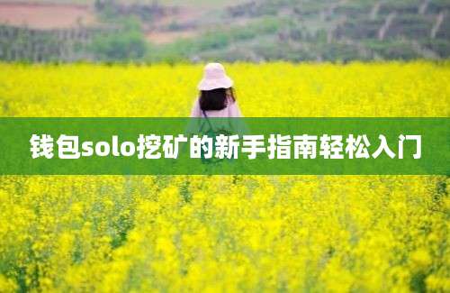 钱包solo挖矿的新手指南轻松入门