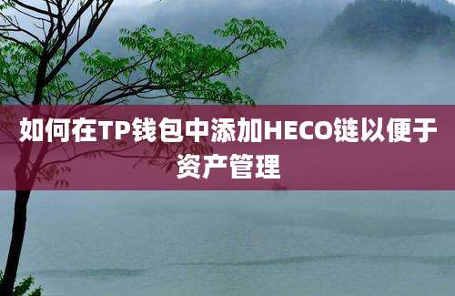 如何在TP钱包中添加HECO链以便于资产管理