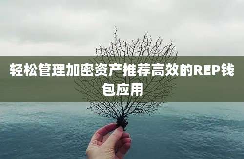 轻松管理加密资产推荐高效的REP钱包应用