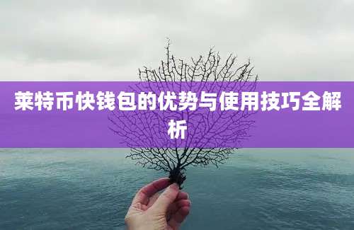 莱特币快钱包的优势与使用技巧全解析