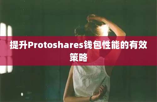 提升Protoshares钱包性能的有效策略