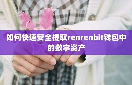 如何快速安全提取renrenbit钱包中的数字资产