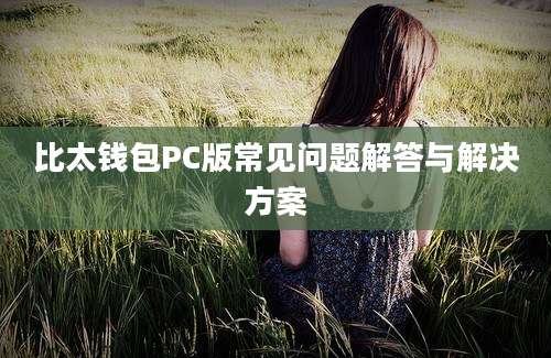 比太钱包PC版常见问题解答与解决方案