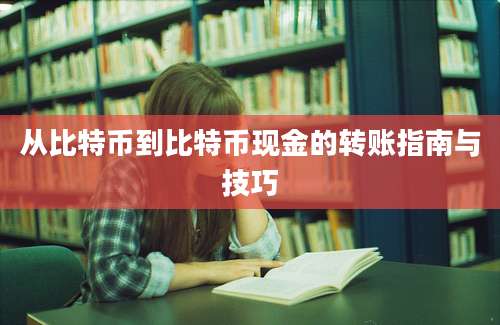 从比特币到比特币现金的转账指南与技巧