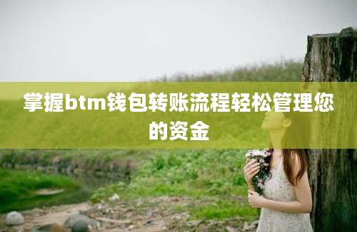 掌握btm钱包转账流程轻松管理您的资金