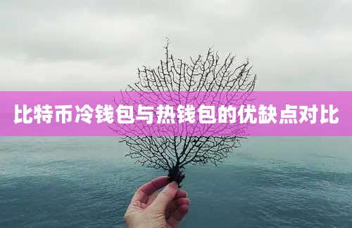 比特币冷钱包与热钱包的优缺点对比