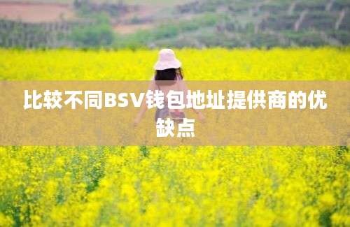 比较不同BSV钱包地址提供商的优缺点