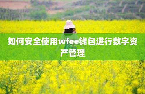 如何安全使用wfee钱包进行数字资产管理