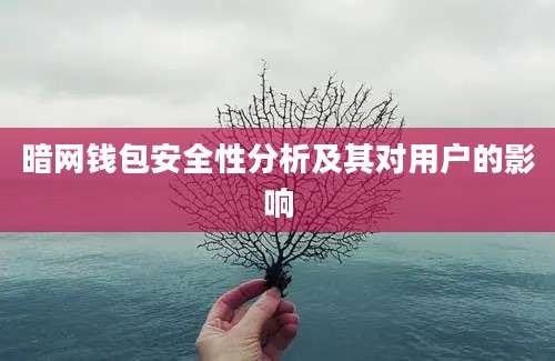 暗网钱包安全性分析及其对用户的影响