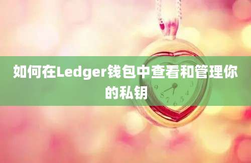 如何在Ledger钱包中查看和管理你的私钥