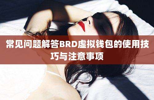 常见问题解答BRD虚拟钱包的使用技巧与注意事项