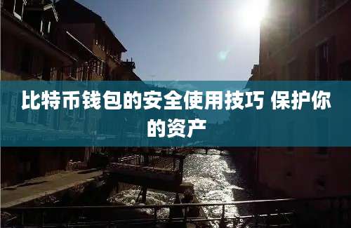 比特币钱包的安全使用技巧 保护你的资产