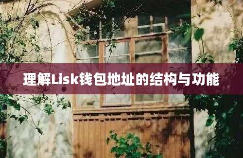 理解Lisk钱包地址的结构与功能