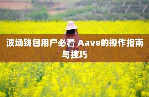 波场钱包用户必看 Aave的操作指南与技巧