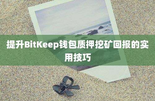 提升BitKeep钱包质押挖矿回报的实用技巧