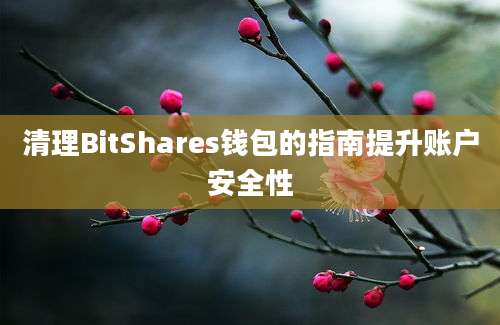 清理BitShares钱包的指南提升账户安全性