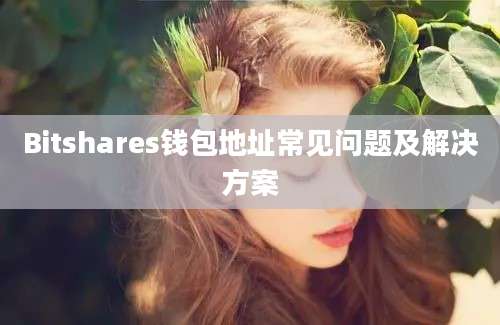 Bitshares钱包地址常见问题及解决方案