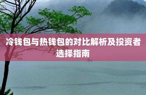 冷钱包与热钱包的对比解析及投资者选择指南