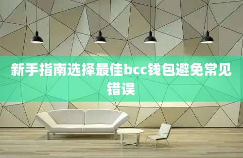 新手指南选择最佳bcc钱包避免常见错误