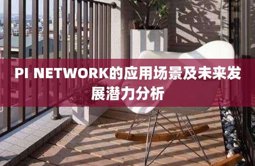 PI NETWORK的应用场景及未来发展潜力分析