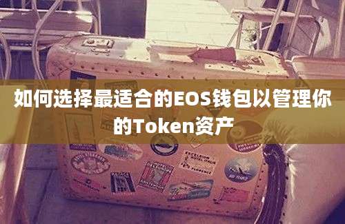 如何选择最适合的EOS钱包以管理你的Token资产